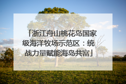 浙江舟山桃花岛国家级海洋牧场示范区：统战力量赋能海岛共富