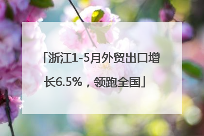 浙江1-5月外贸出口增长6.5%，领跑全国