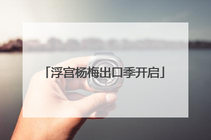 浮宫杨梅出口季开启