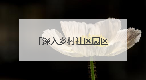 深入乡村社区园区 德州建成政务服务站点1527个