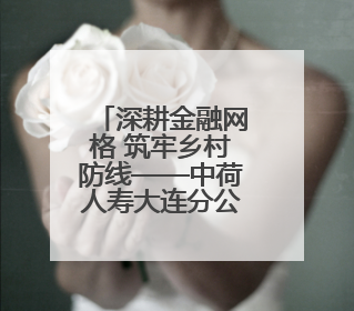 深耕金融网格 筑牢乡村防线——中荷人寿大连分公司开展金融教育网格化宣传活动