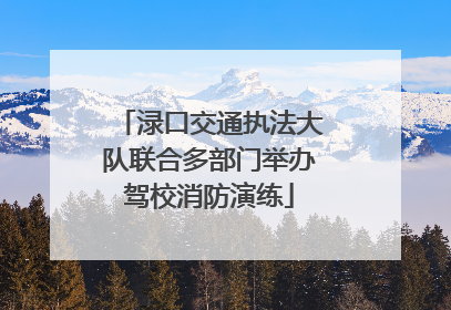 渌口交通执法大队联合多部门举办驾校消防演练
