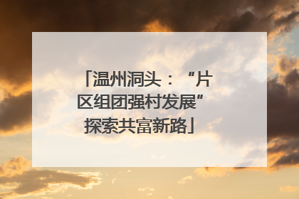 温州洞头：“片区组团强村发展”探索共富新路