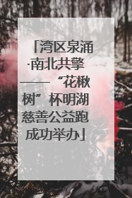 湾区泉涌·南北共擎——“花楸树”杯明湖慈善公益跑成功举办