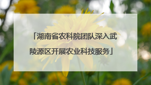 湖南省农科院团队深入武陵源区开展农业科技服务