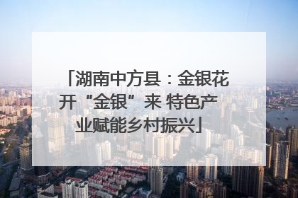 湖南中方县：金银花开“金银”来 特色产业赋能乡村振兴