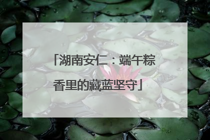 湖南安仁：端午粽香里的藏蓝坚守