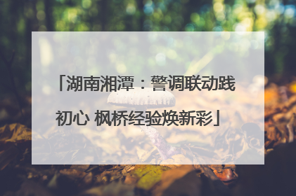 湖南湘潭：警调联动践初心 枫桥经验焕新彩