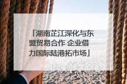 湖南芷江深化与东盟贸易合作 企业借力国际陆港拓市场
