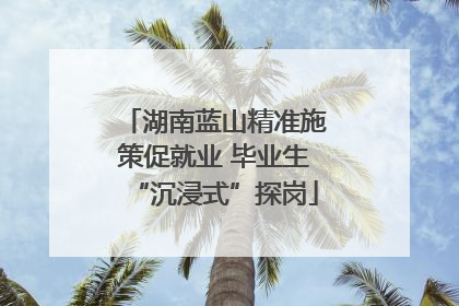 湖南蓝山精准施策促就业 毕业生“沉浸式”探岗