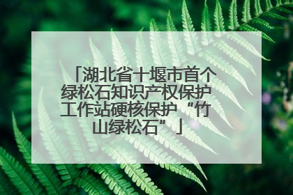 湖北省十堰市首个绿松石知识产权保护工作站硬核保护“竹山绿松石”