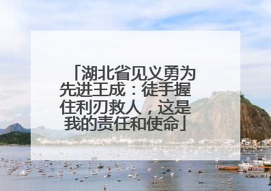湖北省见义勇为先进王成：徒手握住利刃救人，这是我的责任和使命