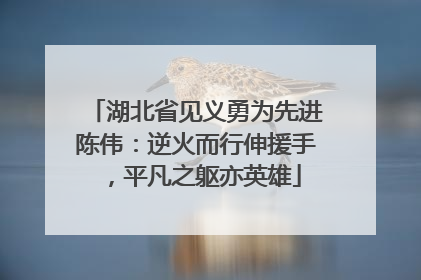 湖北省见义勇为先进陈伟：逆火而行伸援手，平凡之躯亦英雄