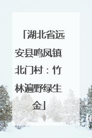 湖北省远安县鸣凤镇北门村：竹林遍野绿生金