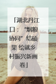 湖北丹江口：“烟粮协同”结硕果 绘就乡村振兴新画卷