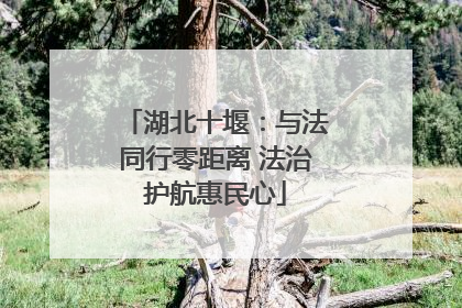 湖北十堰：与法同行零距离 法治护航惠民心