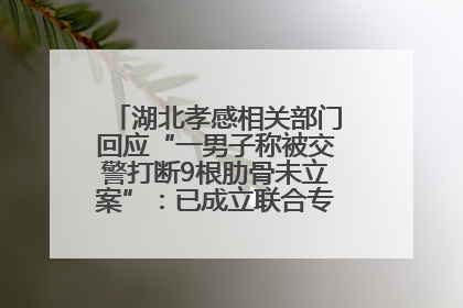 湖北孝感相关部门回应“一男子称被交警打断9根肋骨未立案”：已成立联合专班开展工作