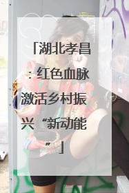 湖北孝昌：红色血脉激活乡村振兴“新动能”