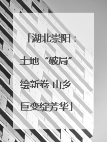 湖北崇阳：土地“破局”绘新卷 山乡巨变绽芳华