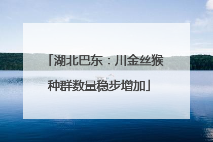 湖北巴东：川金丝猴种群数量稳步增加