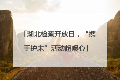 湖北检察开放日，“携手护未”活动超暖心