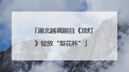 湖北越调剧目《顶灯》绽放“梨花杯”