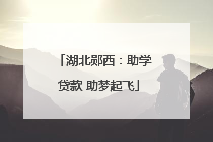 湖北郧西：助学贷款 助梦起飞