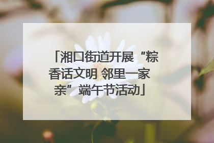 湘口街道开展“粽香话文明 邻里一家亲”端午节活动