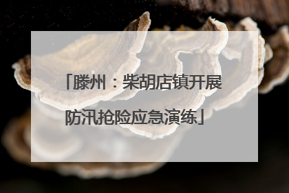 滕州：柴胡店镇开展防汛抢险应急演练