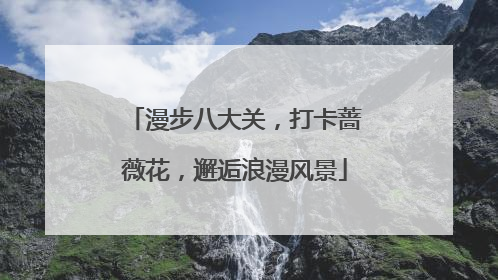 漫步八大关，打卡蔷薇花，邂逅浪漫风景