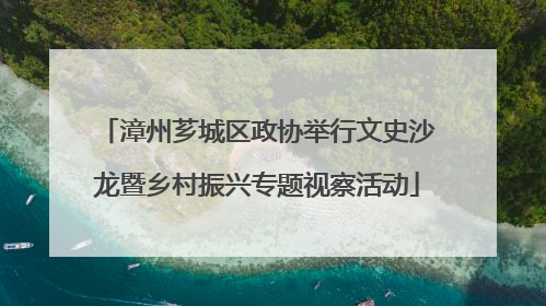 漳州芗城区政协举行文史沙龙暨乡村振兴专题视察活动