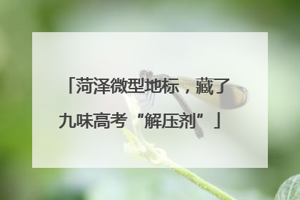 菏泽微型地标，藏了九味高考“解压剂”