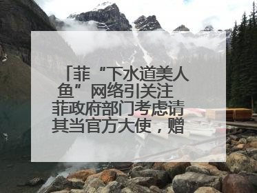 菲“下水道美人鱼”网络引关注 菲政府部门考虑请其当官方大使，赠现金开店