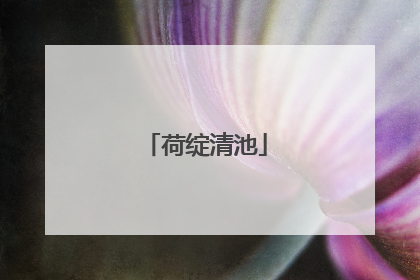 荷绽清池