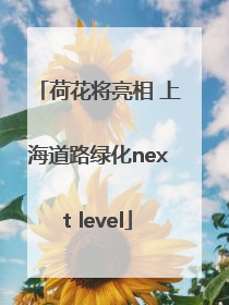 荷花将亮相 上海道路绿化next level