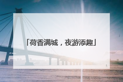荷香满城，夜游添趣