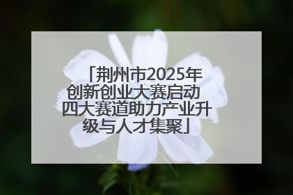 荆州市2025年创新创业大赛启动 四大赛道助力产业升级与人才集聚