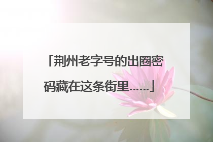 荆州老字号的出圈密码藏在这条街里……