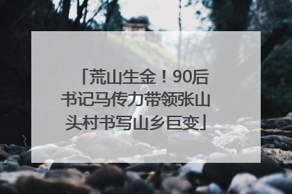 荒山生金！90后书记马传力带领张山头村书写山乡巨变
