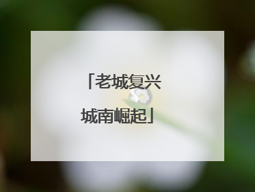 老城复兴 城南崛起