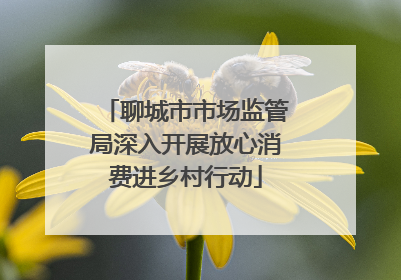 聊城市市场监管局深入开展放心消费进乡村行动