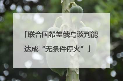 联合国希望俄乌谈判能达成“无条件停火”