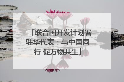 联合国开发计划署驻华代表：与中国同行 促万物共生