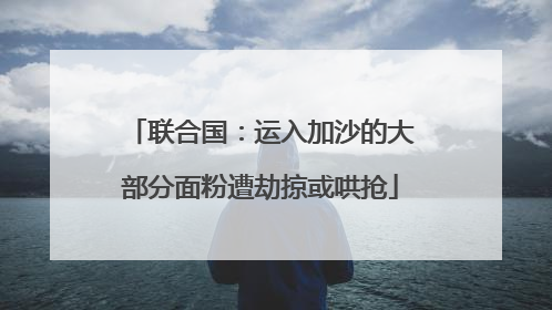 联合国：运入加沙的大部分面粉遭劫掠或哄抢