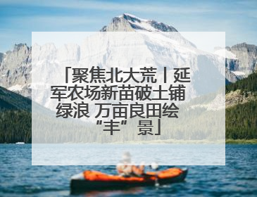聚焦北大荒丨延军农场新苗破土铺绿浪 万亩良田绘“丰”景
