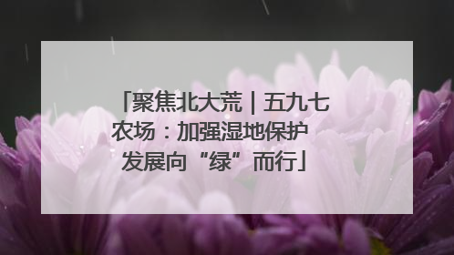 聚焦北大荒｜五九七农场：加强湿地保护 发展向“绿”而行
