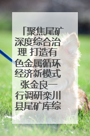 聚焦尾矿深度综合治理 打造有色金属循环经济新模式 张金良一行调研栾川县尾矿库综合治理工作