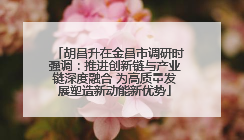 胡昌升在金昌市调研时强调：推进创新链与产业链深度融合 为高质量发展塑造新动能新优势