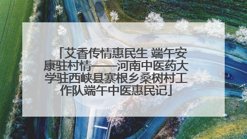 艾香传情惠民生 端午安康驻村情——河南中医药大学驻西峡县寨根乡桑树村工作队端午中医惠民记