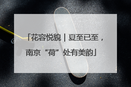 花容悦貌｜夏至已至，南京“荷”处有美韵